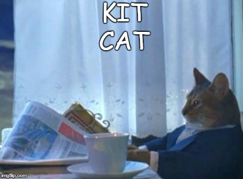 I Should Buy A Boat Cat | KIT CAT | image tagged in memes,i should buy a boat cat | made w/ Imgflip meme maker