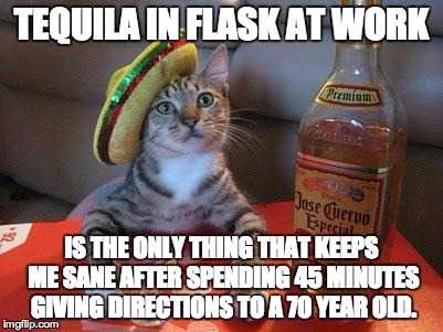 tequila cat | TEQUILA IN FLASK AT WORK IS THE ONLY THING THAT KEEPS ME SANE AFTER SPENDING 45 MINUTES GIVING DIRECTIONS TO A 70 YEAR OLD. | image tagged in tequila cat | made w/ Imgflip meme maker