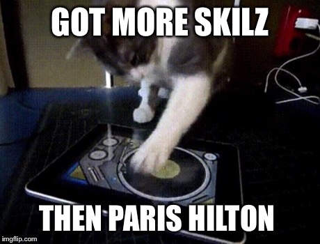 GOT MORE SKILZ THEN PARIS HILTON | image tagged in cats,dj,paris hilton | made w/ Imgflip meme maker