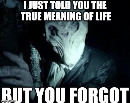 You Forgot | I JUST TOLD YOU THE TRUE MEANING OF LIFE BUT YOU FORGOT | image tagged in the silence | made w/ Imgflip meme maker