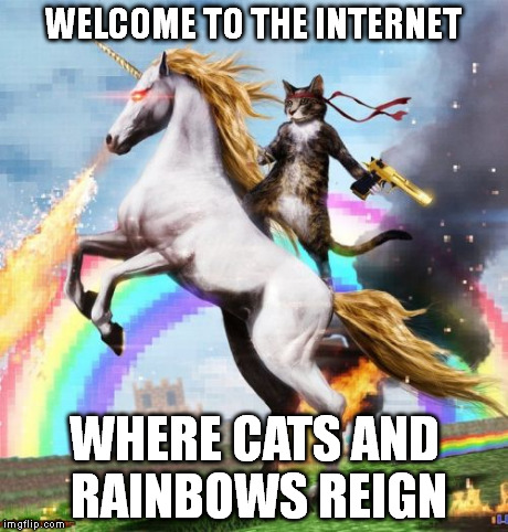 Welcome To The Internets Meme | WELCOME TO THE INTERNET WHERE CATS AND RAINBOWS REIGN | image tagged in memes,welcome to the internets | made w/ Imgflip meme maker