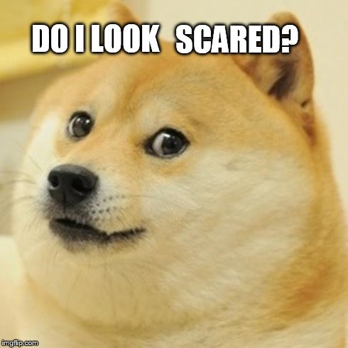 Doge Meme | DO I LOOK SCARED? | image tagged in memes,doge | made w/ Imgflip meme maker