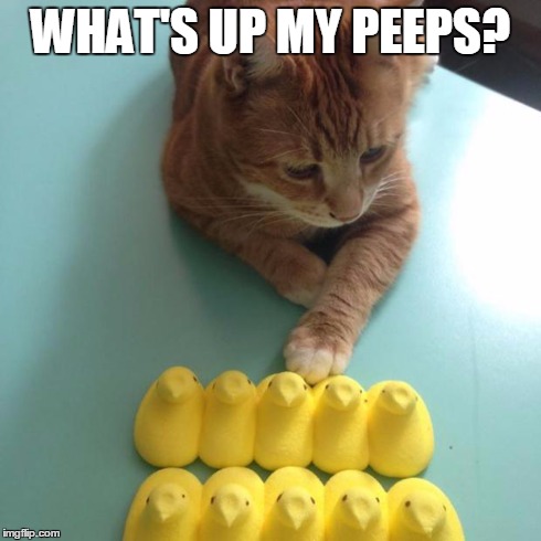 WHAT'S UP MY PEEPS? | image tagged in peeps | made w/ Imgflip meme maker