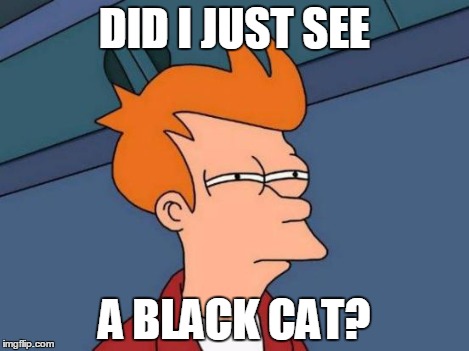 Futurama Fry Meme | DID I JUST SEE A BLACK CAT? | image tagged in memes,futurama fry | made w/ Imgflip meme maker