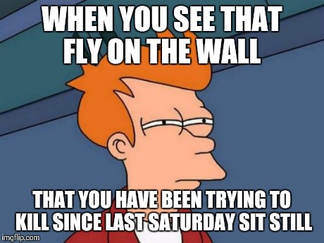 Futurama Fry | WHEN YOU SEE THAT FLY ON THE WALL THAT YOU HAVE BEEN TRYING TO KILL SINCE LAST SATURDAY SIT STILL | image tagged in memes,futurama fry | made w/ Imgflip meme maker
