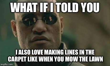 Matrix Morpheus Meme | WHAT IF I TOLD YOU I ALSO LOVE MAKING LINES IN THE CARPET LIKE WHEN YOU MOW THE LAWN | image tagged in memes,matrix morpheus | made w/ Imgflip meme maker