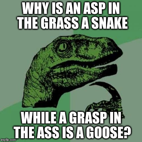 Philosoraptor | WHY IS AN ASP IN THE GRASS A SNAKE WHILE A GRASP IN THE ASS IS A GOOSE? | image tagged in memes,philosoraptor | made w/ Imgflip meme maker