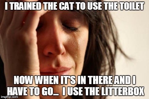 First World Problems Meme | I TRAINED THE CAT TO USE THE TOILET NOW WHEN IT'S IN THERE AND I HAVE TO GO...  I USE THE LITTERBOX | image tagged in memes,first world problems | made w/ Imgflip meme maker