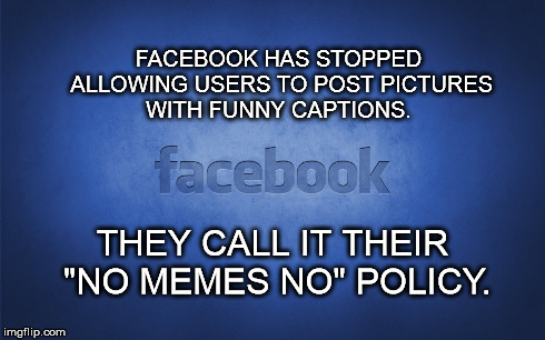 Feeling a little punny. | FACEBOOK HAS STOPPED ALLOWING USERS TO POST PICTURES WITH FUNNY CAPTIONS. THEY CALL IT THEIR "NO MEMES NO" POLICY. | image tagged in funny,facebook | made w/ Imgflip meme maker