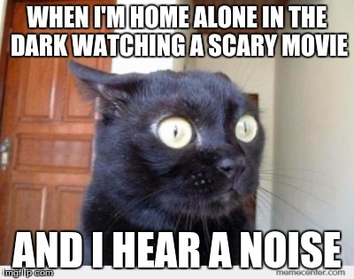 Ohgodohgodohgodohgodohgod | WHEN I'M HOME ALONE IN THE DARK WATCHING A SCARY MOVIE AND I HEAR A NOISE | image tagged in scared cat,memes,horror,movie,scary,home alone | made w/ Imgflip meme maker