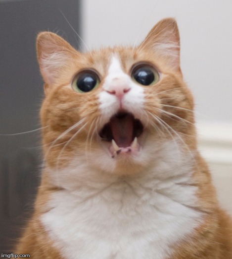 . | made w/ Imgflip meme maker