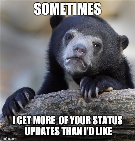 Confession Bear | SOMETIMES I GET MORE  OF YOUR STATUS UPDATES THAN I'D LIKE | image tagged in memes,confession bear | made w/ Imgflip meme maker