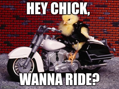 Hot Rod Chick | HEY CHICK, WANNA RIDE? | image tagged in chick | made w/ Imgflip meme maker