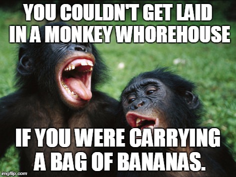 Bonobo Lyfe Meme | YOU COULDN'T GET LAID IN A MONKEY W**REHOUSE IF YOU WERE CARRYING A BAG OF BANANAS. | image tagged in memes,bonobo lyfe | made w/ Imgflip meme maker