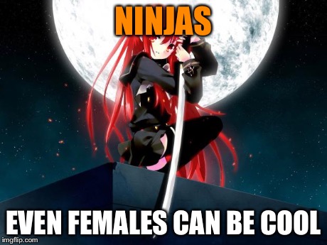 NINJAS EVEN FEMALES CAN BE COOL | image tagged in h25b | made w/ Imgflip meme maker