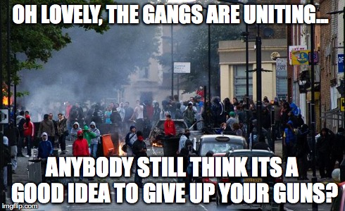 United Gangs of America | OH LOVELY, THE GANGS ARE UNITING... ANYBODY STILL THINK ITS A GOOD IDEA TO GIVE UP YOUR GUNS? | image tagged in gangsters,baltimore riots,gun control | made w/ Imgflip meme maker