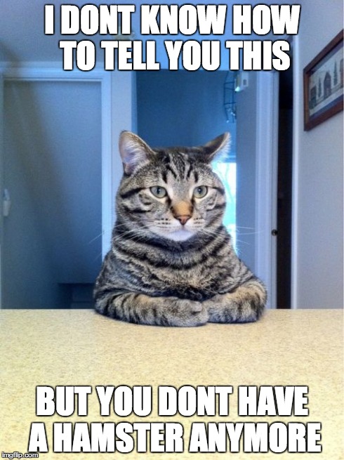 Take A Seat Cat Meme | I DONT KNOW HOW TO TELL YOU THIS BUT YOU DONT HAVE A HAMSTER ANYMORE | image tagged in memes,take a seat cat | made w/ Imgflip meme maker
