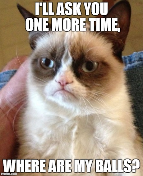 Grumpy Cat | I'LL ASK YOU ONE MORE TIME, WHERE ARE MY BALLS? | image tagged in memes,grumpy cat | made w/ Imgflip meme maker