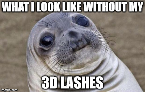 Awkward Moment Sealion Meme | WHAT I LOOK LIKE WITHOUT MY 3D LASHES | image tagged in memes,awkward moment sealion | made w/ Imgflip meme maker