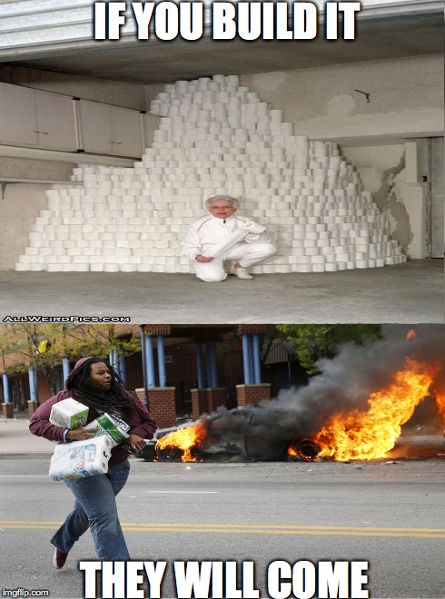 IF YOU BUILD IT THEY WILL COME | image tagged in baltimore riots,toilet paper,meme,funny meme,2015 | made w/ Imgflip meme maker