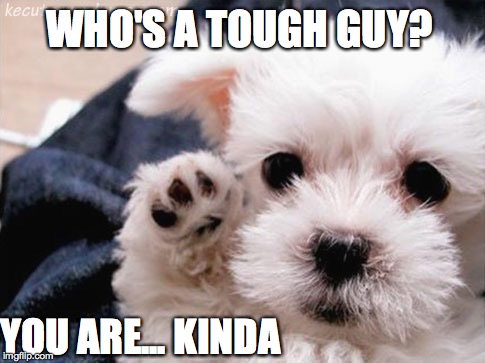 Who's a tough guy? | WHO'S A TOUGH GUY? YOU ARE... KINDA | image tagged in tough guy wanna be | made w/ Imgflip meme maker
