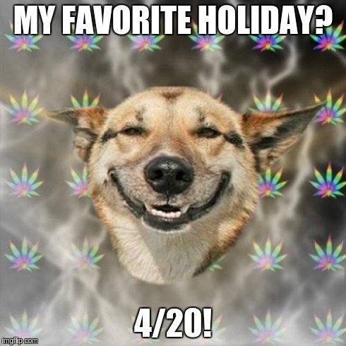 Stoner Dog | MY FAVORITE HOLIDAY? 4/20! | image tagged in memes,stoner dog | made w/ Imgflip meme maker