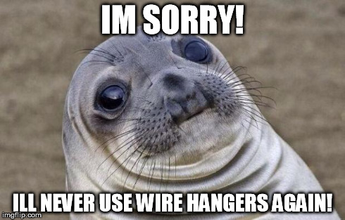 Awkward Moment Sealion | IM SORRY! ILL NEVER USE WIRE HANGERS AGAIN! | image tagged in memes,awkward moment sealion | made w/ Imgflip meme maker