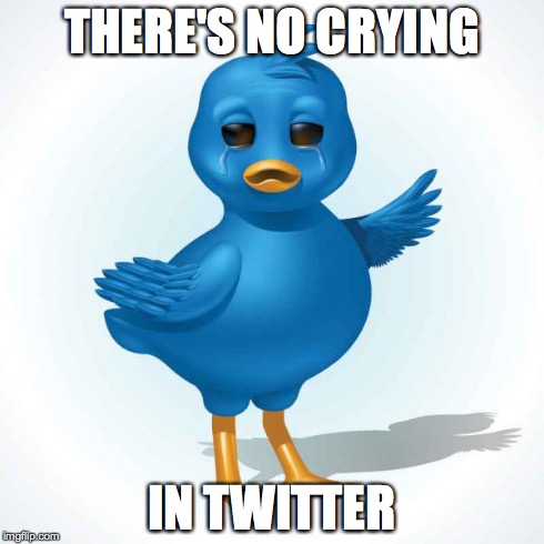 There's No Crying In Twitter | THERE'S NO CRYING IN TWITTER | image tagged in twitter,crying | made w/ Imgflip meme maker