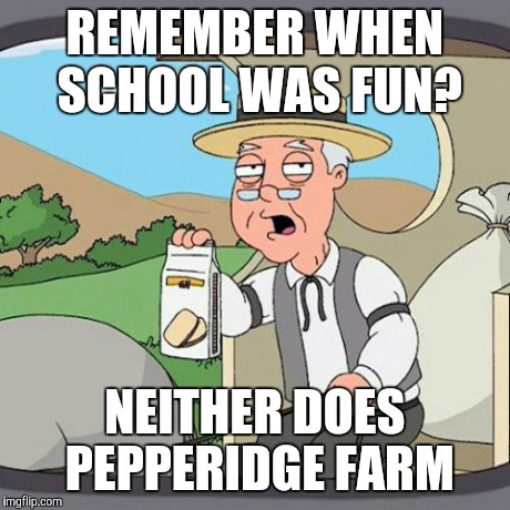 Pepperidge Farm Remembers | REMEMBER WHEN SCHOOL WAS FUN? NEITHER DOES PEPPERIDGE FARM | image tagged in memes,pepperidge farm remembers | made w/ Imgflip meme maker