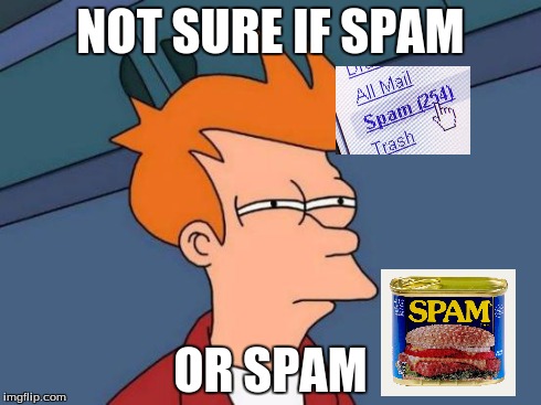 Futurama Fry | NOT SURE IF SPAM OR SPAM | image tagged in memes,futurama fry,spam | made w/ Imgflip meme maker