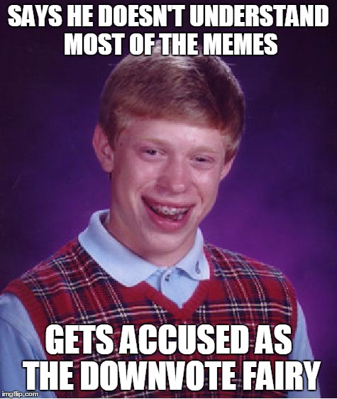 Bad Luck Brian | SAYS HE DOESN'T UNDERSTAND MOST OF THE MEMES GETS ACCUSED AS THE DOWNVOTE FAIRY | image tagged in memes,bad luck brian | made w/ Imgflip meme maker