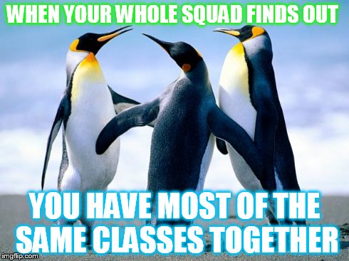 WHEN YOUR WHOLE SQUAD FINDS OUT YOU HAVE MOST OF THE SAME CLASSES TOGETHER | image tagged in penguins | made w/ Imgflip meme maker