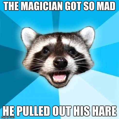 Lame Pun Coon Meme | THE MAGICIAN GOT SO MAD HE PULLED OUT HIS HARE | image tagged in memes,lame pun coon | made w/ Imgflip meme maker