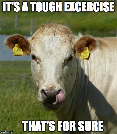 IT'S A TOUGH EXCERCISE THAT'S FOR SURE | image tagged in cow | made w/ Imgflip meme maker