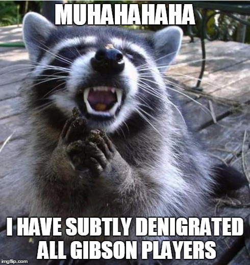 Devious Raccoon | MUHAHAHAHA I HAVE SUBTLY DENIGRATED ALL GIBSON PLAYERS | image tagged in devious raccoon | made w/ Imgflip meme maker