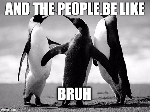 AND THE PEOPLE BE LIKE BRUH | image tagged in bruh,penguin gang | made w/ Imgflip meme maker