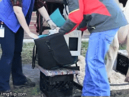 Because of these real life struggles | image tagged in gifs | made w/ Imgflip video-to-gif maker