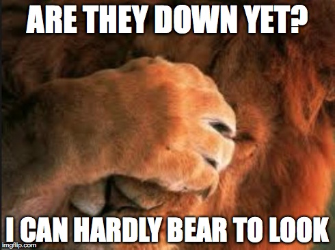 ARE THEY DOWN YET? I CAN HARDLY BEAR TO LOOK | made w/ Imgflip meme maker