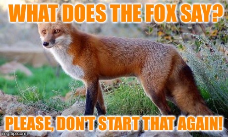 WHAT DOES THE FOX SAY? PLEASE, DON'T START THAT AGAIN! | image tagged in what does the fox say | made w/ Imgflip meme maker