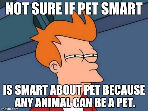 Futurama Fry | NOT SURE IF PET SMART IS SMART ABOUT PET BECAUSE ANY ANIMAL CAN BE A PET. | image tagged in memes,futurama fry | made w/ Imgflip meme maker