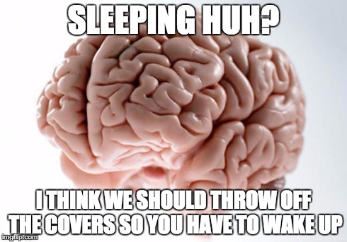 Scumbag Brain | SLEEPING HUH? I THINK WE SHOULD THROW OFF THE COVERS SO YOU HAVE TO WAKE UP | image tagged in scumbag brain | made w/ Imgflip meme maker