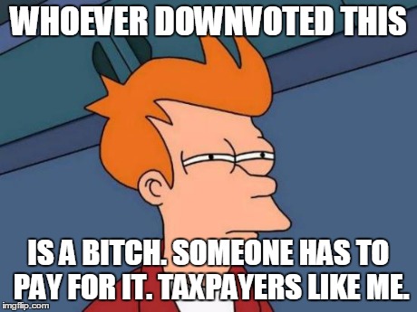 Futurama Fry Meme | WHOEVER DOWNVOTED THIS IS A B**CH. SOMEONE HAS TO PAY FOR IT. TAXPAYERS LIKE ME. | image tagged in memes,futurama fry | made w/ Imgflip meme maker