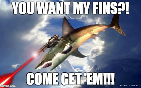 Flying Laser Shark | YOU WANT MY FINS?! COME GET 'EM!!! | image tagged in flying laser shark,memes | made w/ Imgflip meme maker