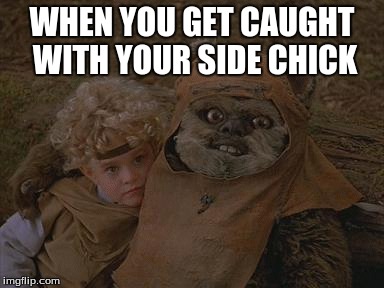 WHEN YOU GET CAUGHT WITH YOUR SIDE CHICK | image tagged in ewok | made w/ Imgflip meme maker