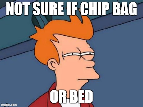 Futurama Fry Meme | NOT SURE IF CHIP BAG OR BED | image tagged in memes,futurama fry | made w/ Imgflip meme maker