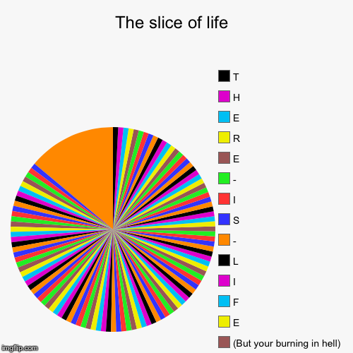 image tagged in funny,pie charts | made w/ Imgflip chart maker