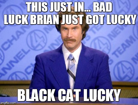 This just in  | THIS JUST IN...
BAD LUCK BRIAN JUST GOT LUCKY BLACK CAT LUCKY | image tagged in this just in  | made w/ Imgflip meme maker
