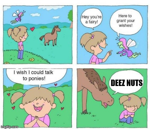 Talk to Ponies | DEEZ NUTS | image tagged in talk to ponies | made w/ Imgflip meme maker