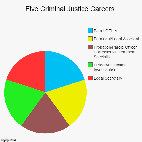 image tagged in funny,pie charts | made w/ Imgflip chart maker