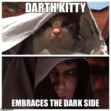 Darth Kitty | DARTH KITTY EMBRACES THE DARK SIDE | image tagged in darth kitty | made w/ Imgflip meme maker